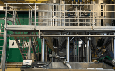 Ricotta cheese production